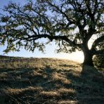 男人进女人下面 5iq1di7